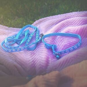 NEW Adjustable Nylon SMALL Dog Collar & Leash Set, Sky Blue